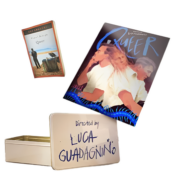 QUEER BUNDLE - ROMANZO, BOX, ILLUSTRAZIONE (SPEDIZIONE INCLUSA)