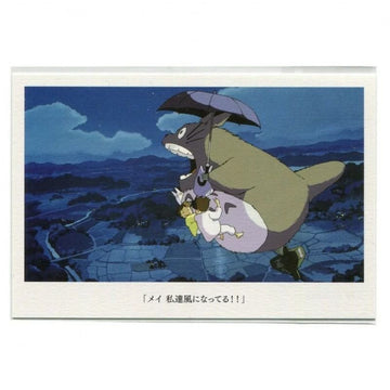 CARTOLINA - IL MIO VICINO TOTORO