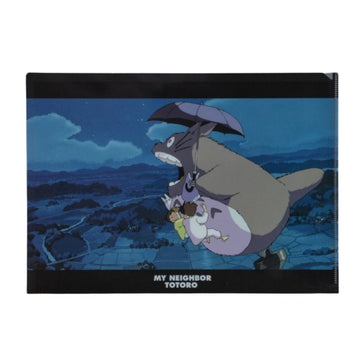 RACCOGLITORE A4 PASSEGGIATA NOTTURNA - IL MIO VICINO TOTORO
